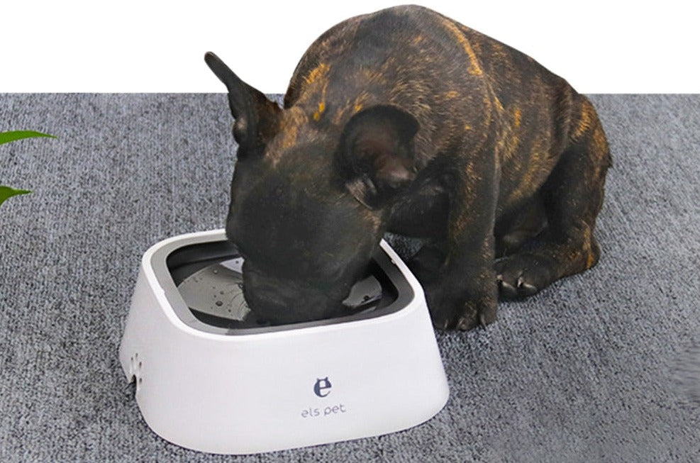 Trinkwasserspender für Hunde